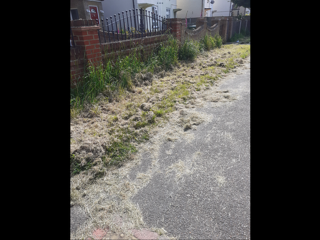 Quality of Grass Cutting in Stanwell Moor